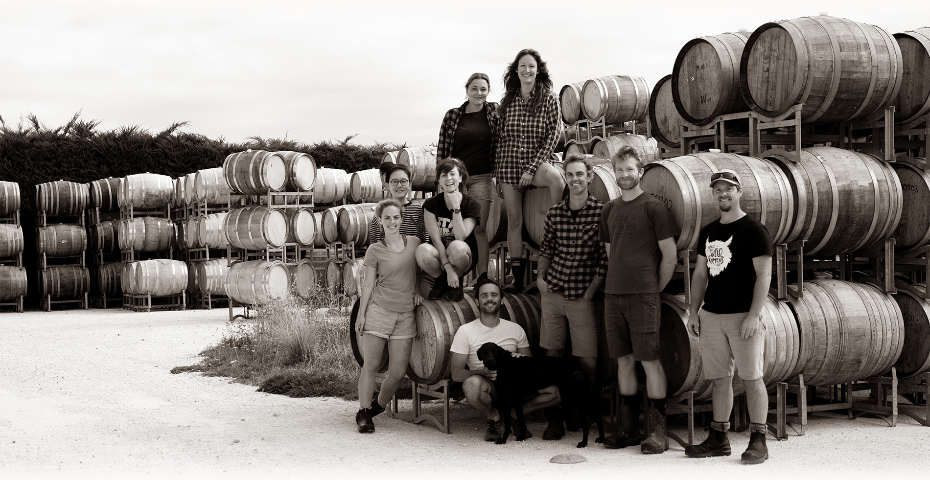 The Greystone Team in front of hundreds of wine barrels