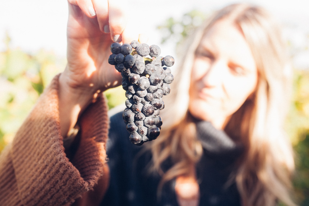 woman holding picked grapes