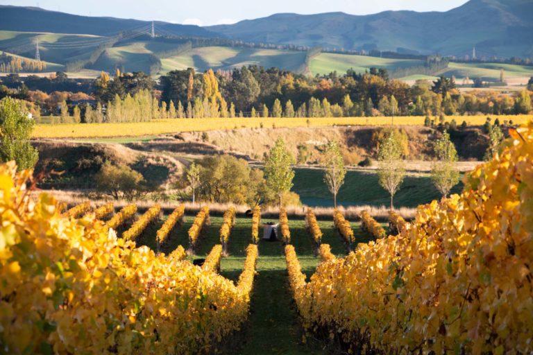 Autumnal View Overlooking the Concrete Vineyard Fermenter